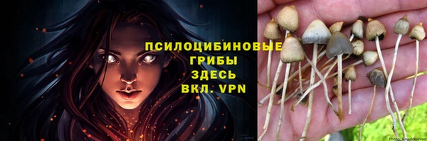 прущая мука Новокубанск