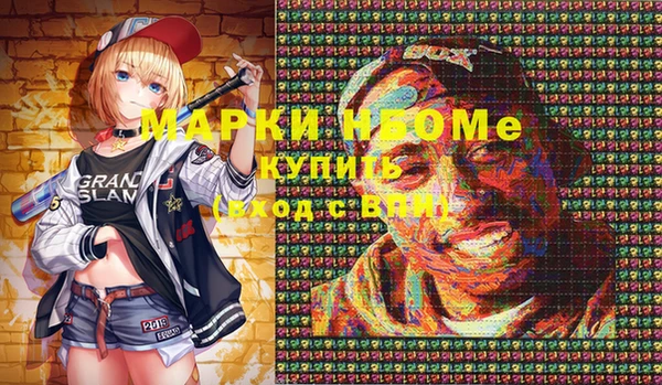 альфа пвп Новодвинск
